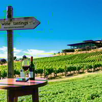 Wine bottle and glass overlooking a sunny vineyard