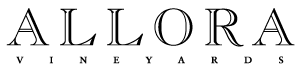 Allora-Logo_sm
