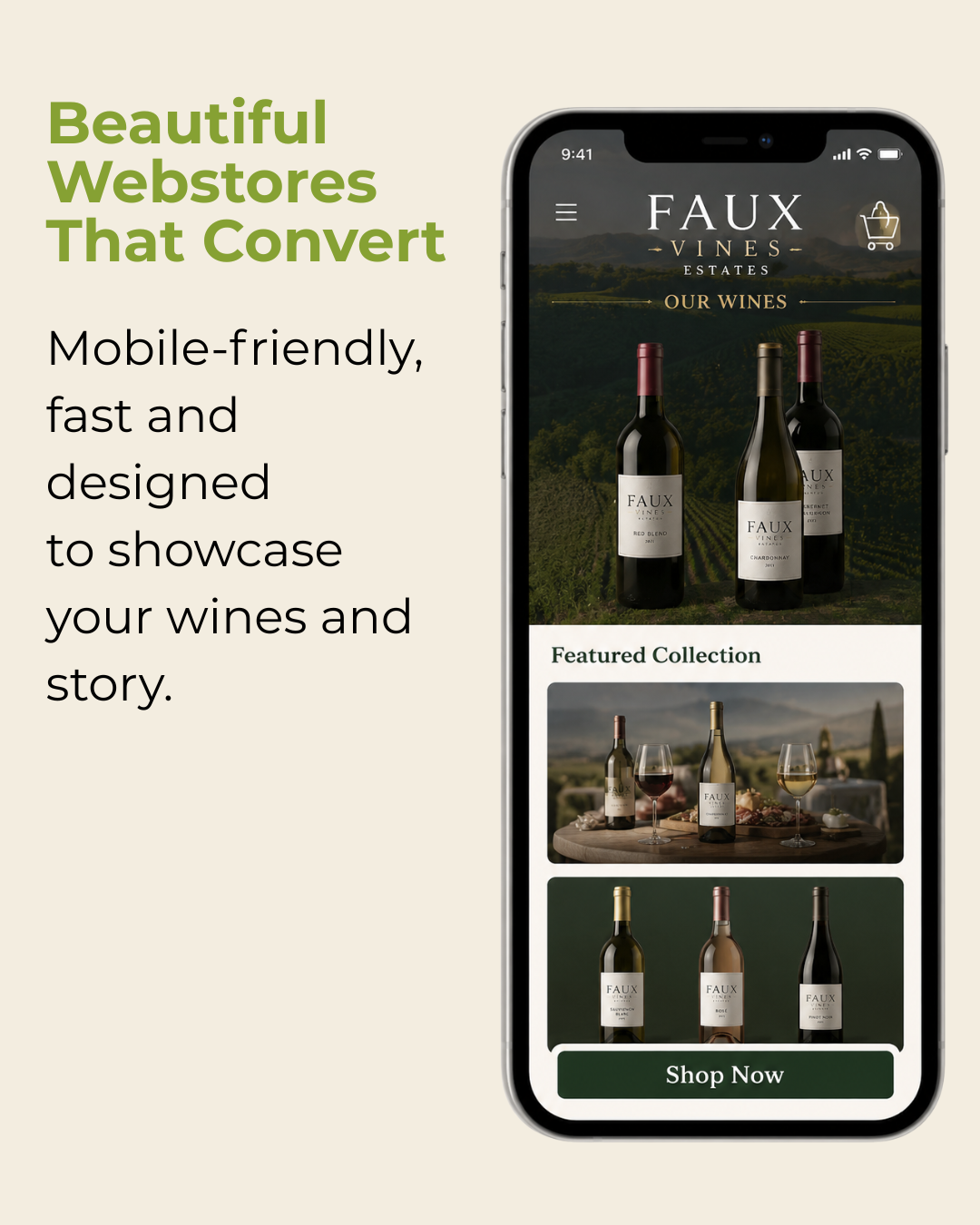 Beautiful Webstores That Convert-1
