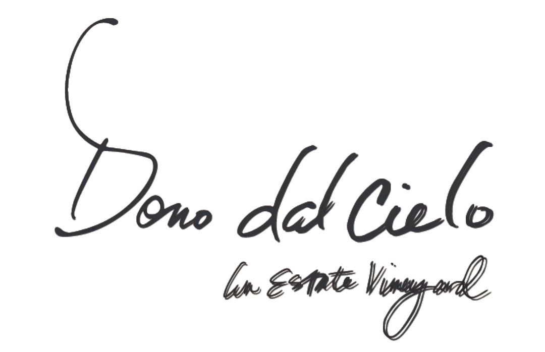 Dono dal Cielo (1)-1