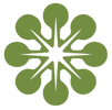 Icon Green-1-1
