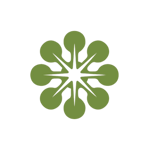 Logo Variations (3)