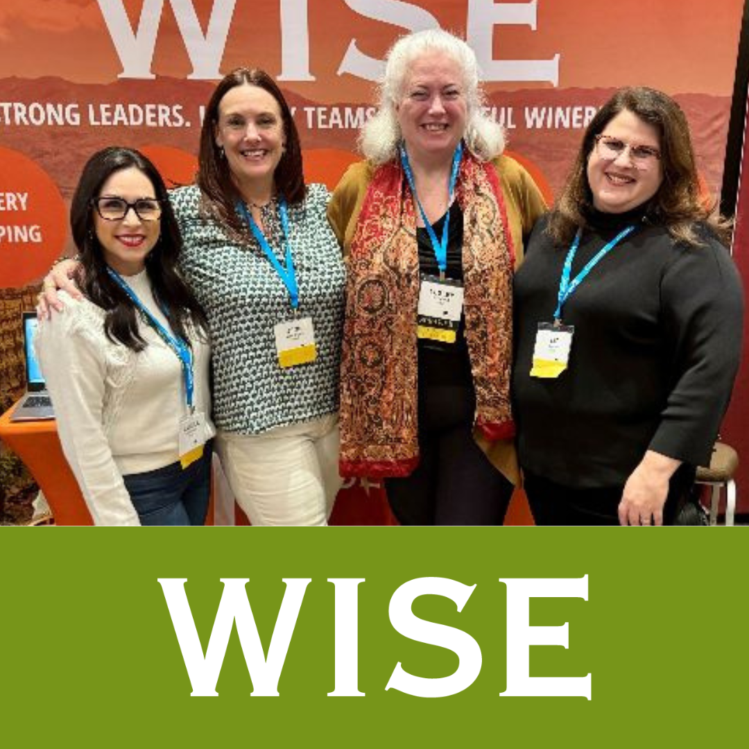 WISE Academy